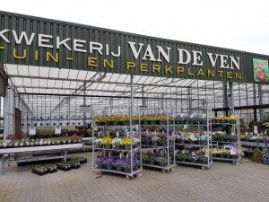 Voorjaar perkplanten